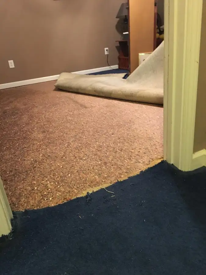 Carpet pad removal revealing water damage during Water Mitigation Services in Bremerton