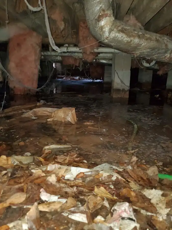 Crawl space flood assessment for Leak Detection & Repair in Bremerton
