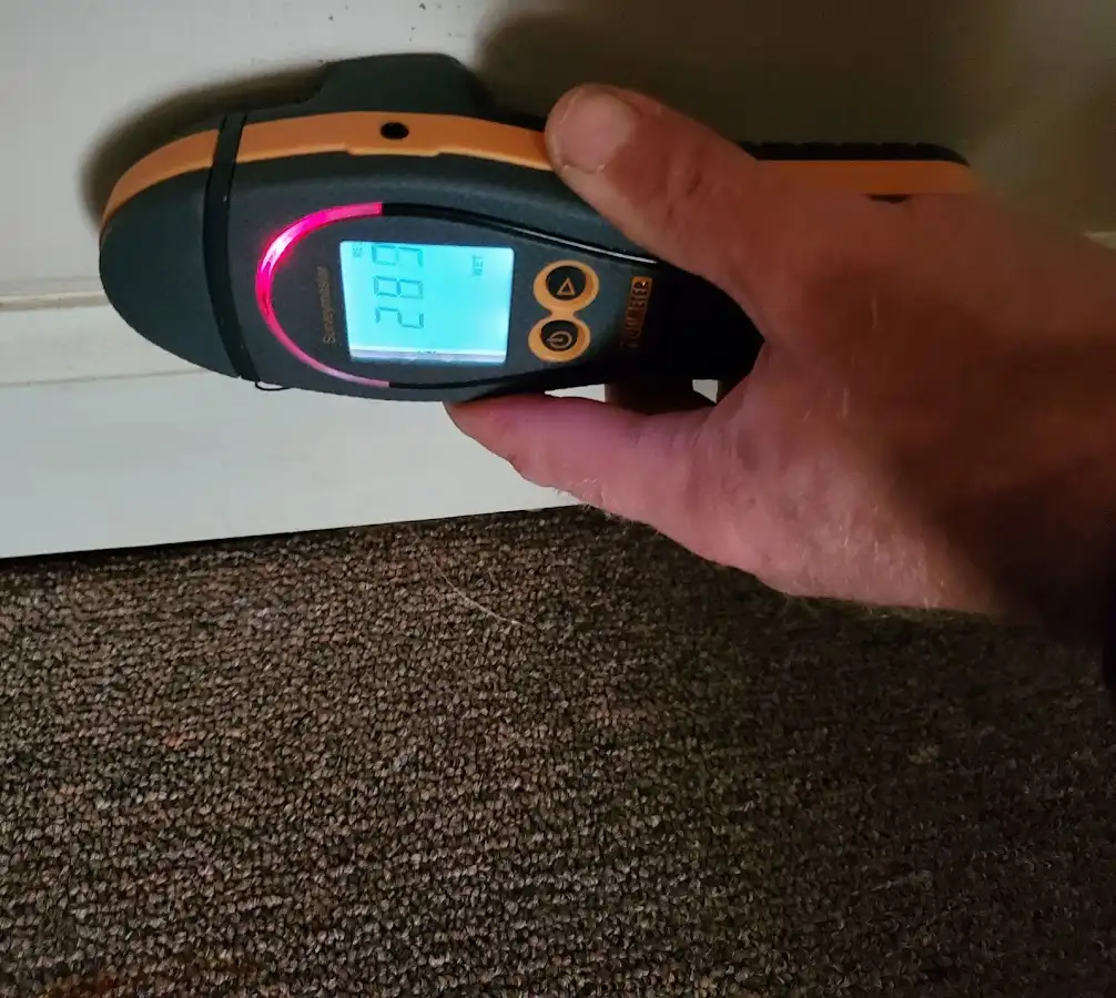 Moisture detection at baseboard during Sewage Cleanup & Sanitation in Bremerton